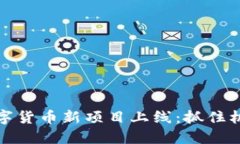 2023年区块链数字货币新项