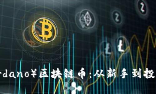 如何购买ADA（Cardano）区块链币：从新手到投资高手的全面指南