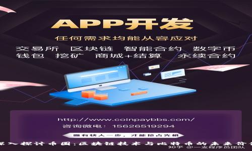 深入探讨币圈：区块链技术与比特币的未来价值