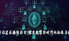 最新福建区块链项目：探