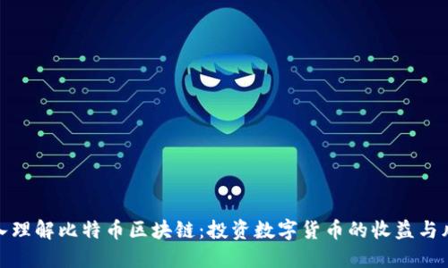 深入理解比特币区块链：投资数字货币的收益与风险