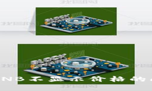 如何解决TP钱包中100 BNB不显示价格的问题，并确保交易顺利进行