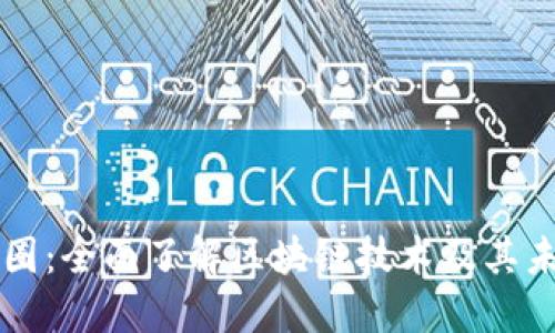 深入币圈：全面了解区块链技术及其未来潜力
