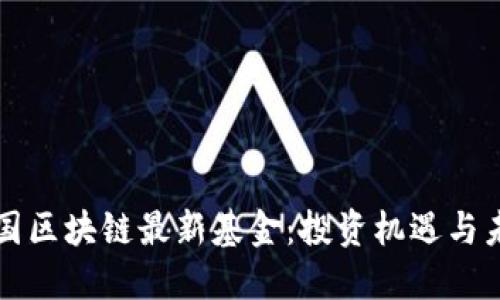 探秘中国区块链最新基金：投资机遇与未来展望