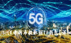 如何将支点（Bit）中的币