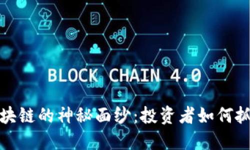 揭开幻影币区块链的神秘面纱：投资者如何抓住机遇与挑战