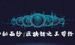 揭开比特币的神秘面纱：