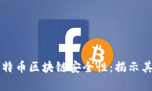 深入解析比特币区块链安全性：揭示其价值与效用