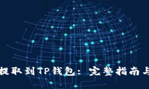 如何将欧意币提取到TP钱包: 完整指南与用户经验分享