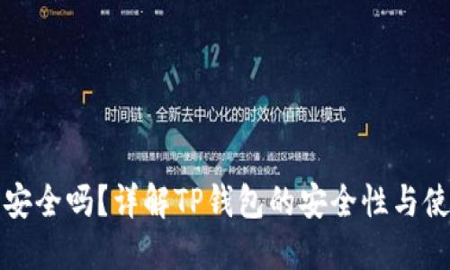 TP钱包安全吗？详解TP钱包的安全性与使用指南