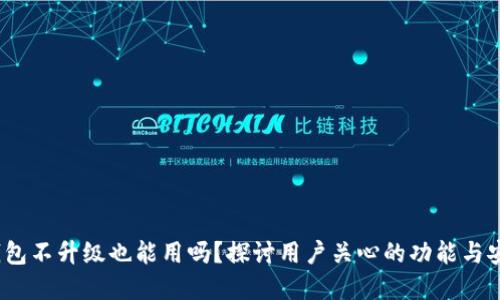 t p钱包不升级也能用吗？探讨用户关心的功能与安全性