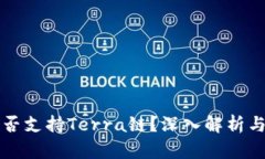 TP钱包是否支持Terra链？深