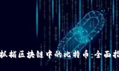 如何有效抓捕区块链中的