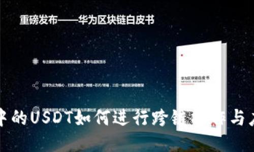 TP钱包中的USDT如何进行跨链操作与应用指南