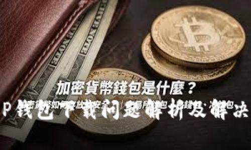 : T P钱包下载问题解析及解决方案