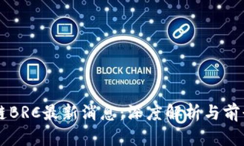 区块链BRC最新消息：深度解析与前景展望