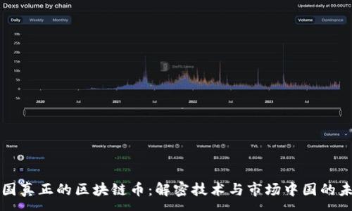 :
中国真正的区块链币：解密技术与市场中国的未来