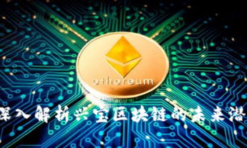 兴宝币：深入解析兴宝区块链的未来潜能与应用