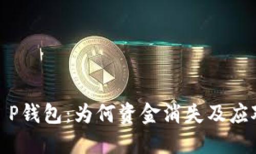 揭秘T P钱包：为何资金消失及应对措施