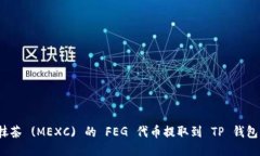 : 如何将抹茶 (MEXC) 的 FE