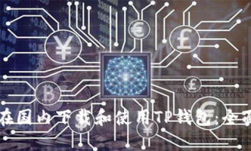 如何在国内下载和使用TP钱包：全面指南
