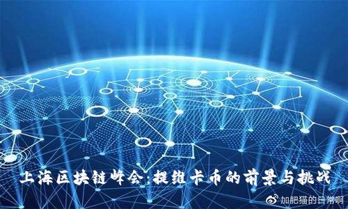 上海区块链峰会：提维卡币的前景与挑战