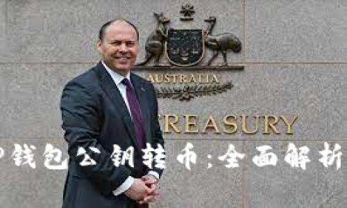 如何通过TP钱包公钥转币：全面解析与操作指南