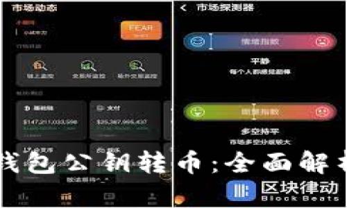 如何通过TP钱包公钥转币：全面解析与操作指南